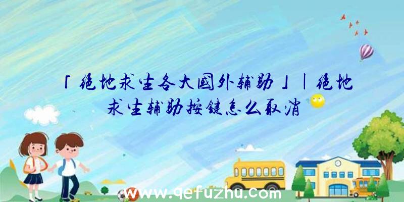 「绝地求生各大国外辅助」|绝地求生辅助按键怎么取消